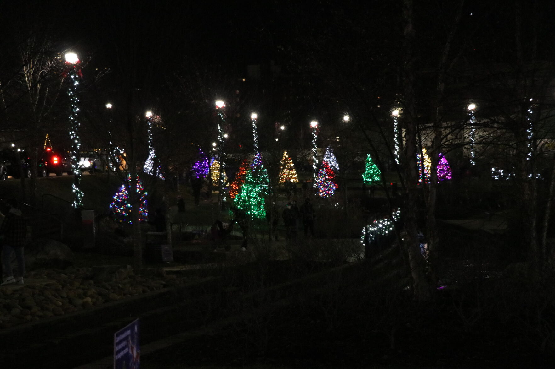 Founders Park Trees